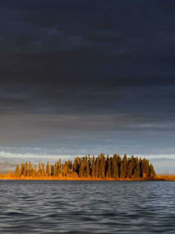 Scenic,Views,Of,Elk,Island,National,Park,,Alberta,Canada